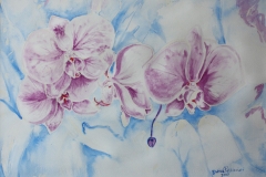 Orchidee viola Acquerello 50x35 - 2009